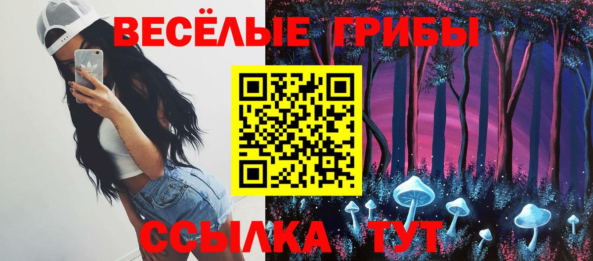 Усть-Джегута  Галлюциногенные грибы ЛСД  купить наркотик  Вход с VPN 